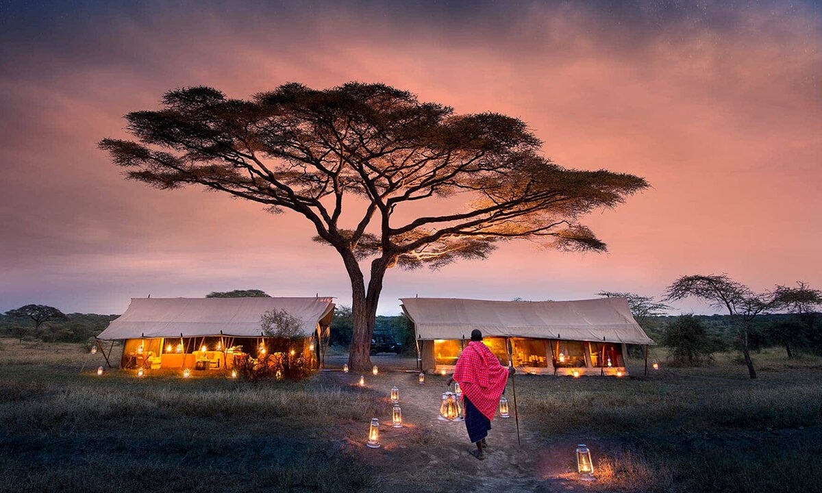 Wildlife on the open Serengeti plains during a Tanzania safari
