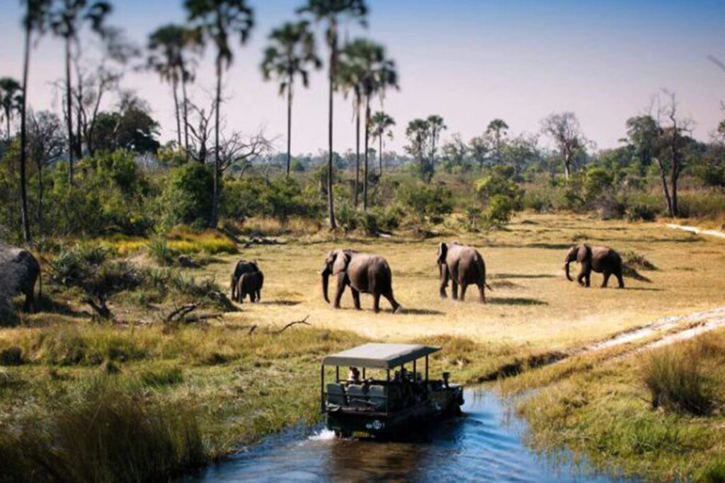 East Africa